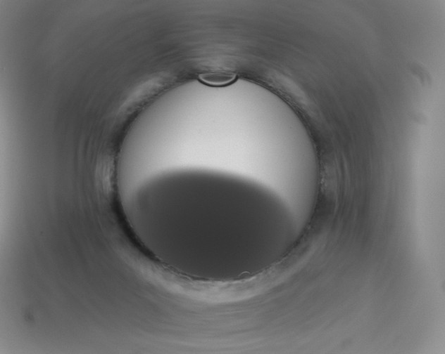 X0000114030023200910161830