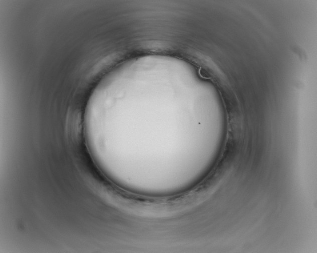 X0000114030024200910161830