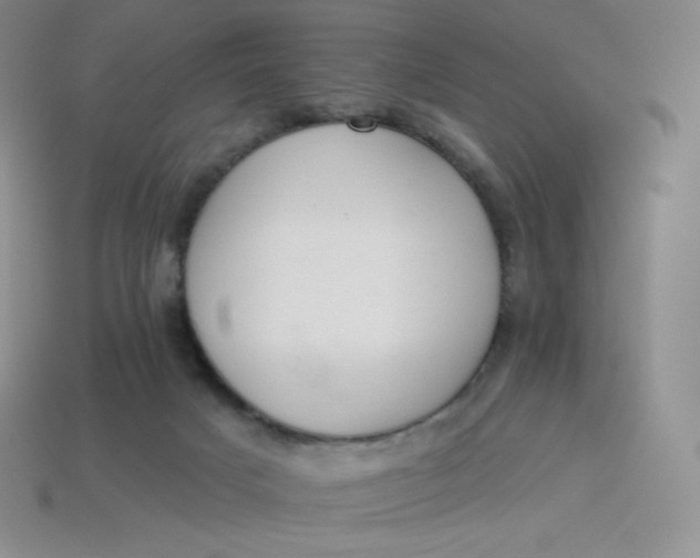 X0000114030025200910161830