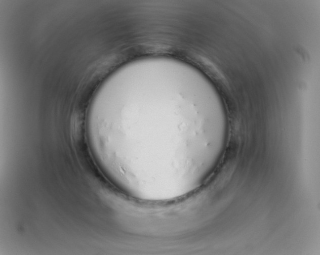 X0000114030026200910161830