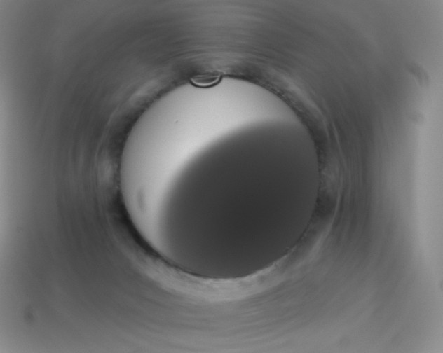 X0000114030031200910161830