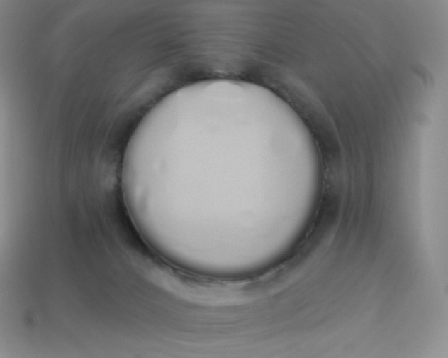 X0000114030032200910161830