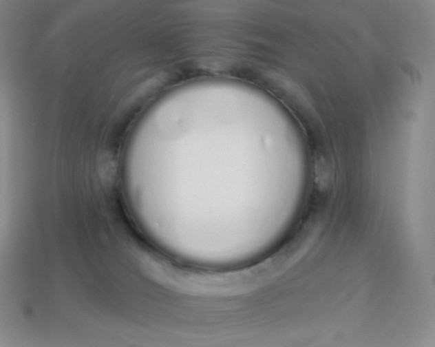 X0000114030036200910161830