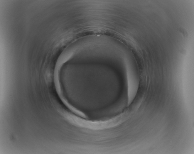 X0000114030039200910161830