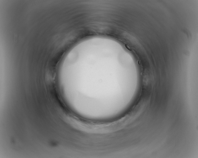 X0000114030040200910161830