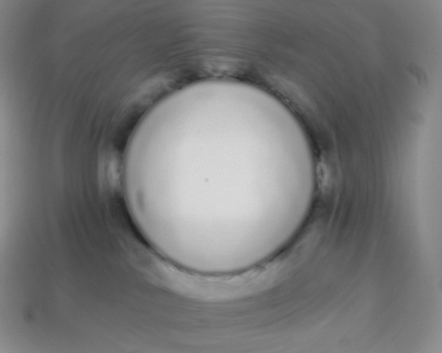 X0000114030042200910161830