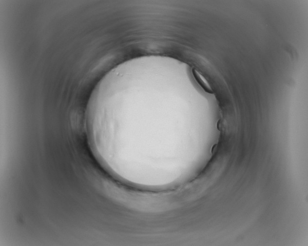 X0000114030044200910161830