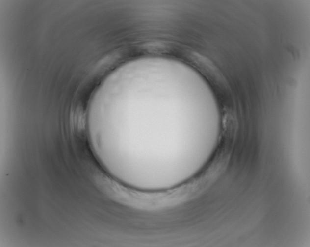 X0000114030046200910161829