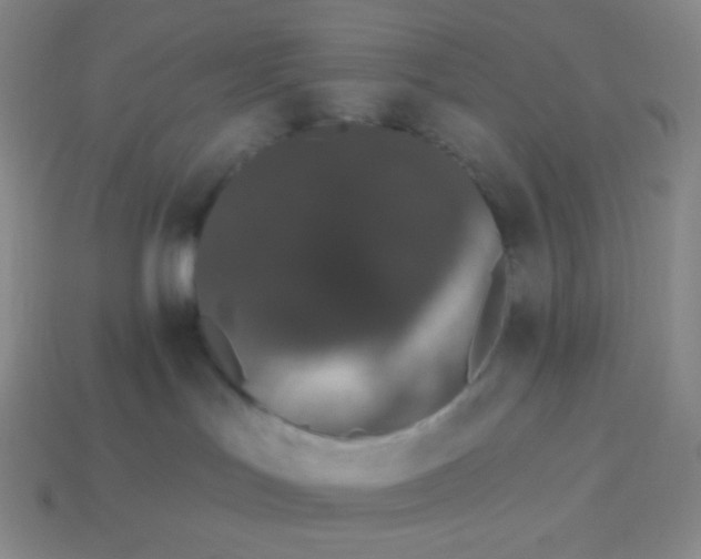 X0000114030047200910161829