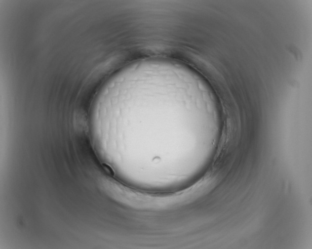 X0000114030048200910161829