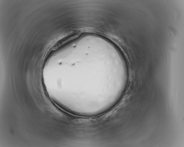 X0000114030049200910161829