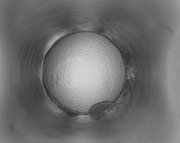 X0000114030052200910161829