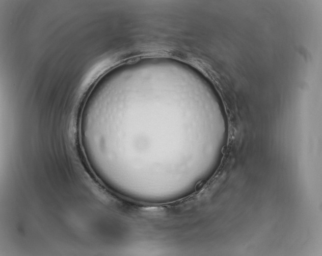 X0000114030053200910161829