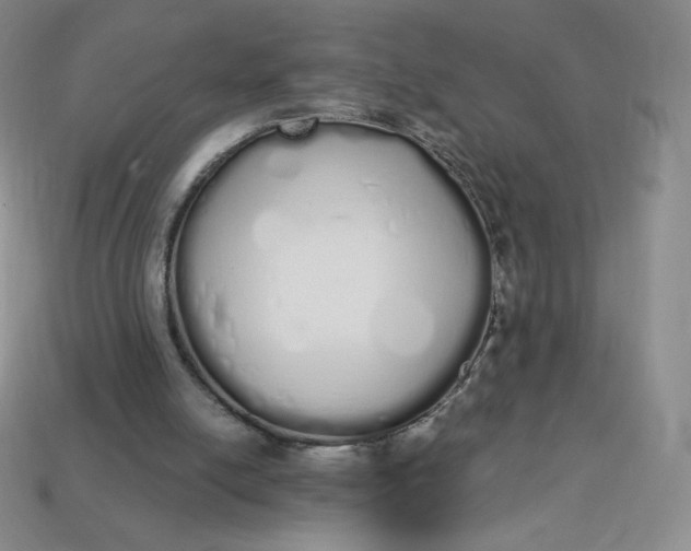 X0000114030054200910161829