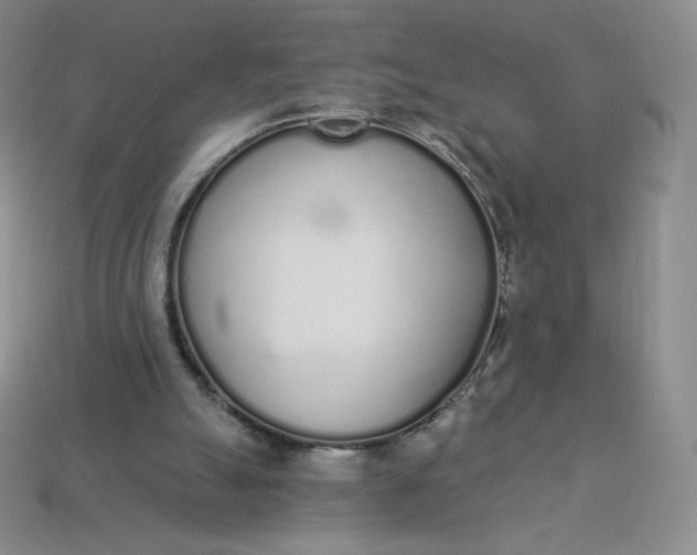 X0000114030055200910161829