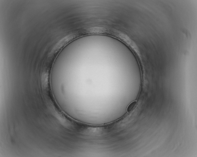 X0000114030057200910161829