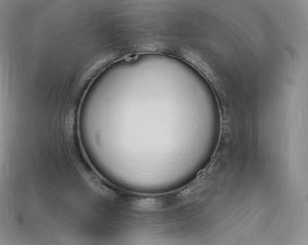 X0000114030058200910161829