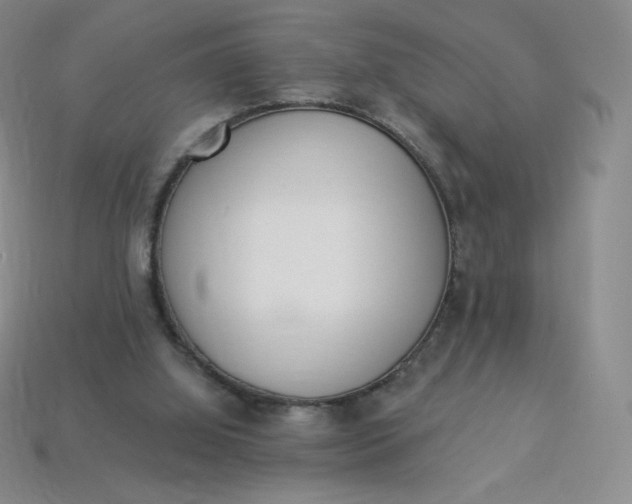 X0000114030060200910161829