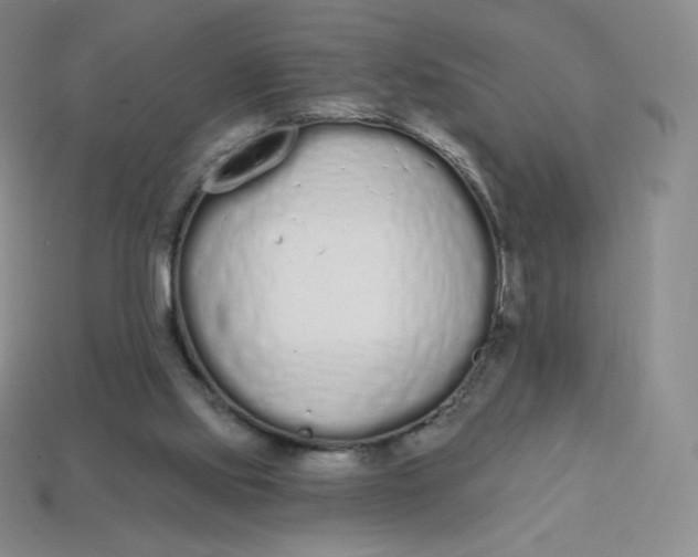 X0000114030061200910161829