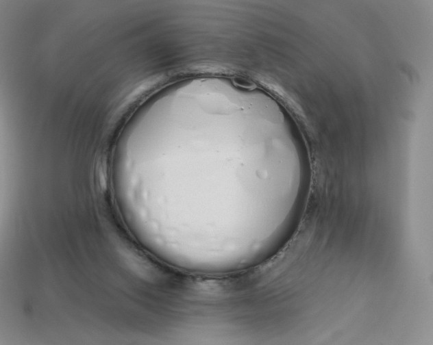 X0000114030062200910161829