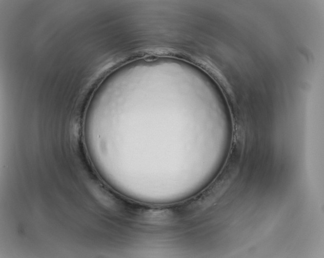 X0000114030063200910161829