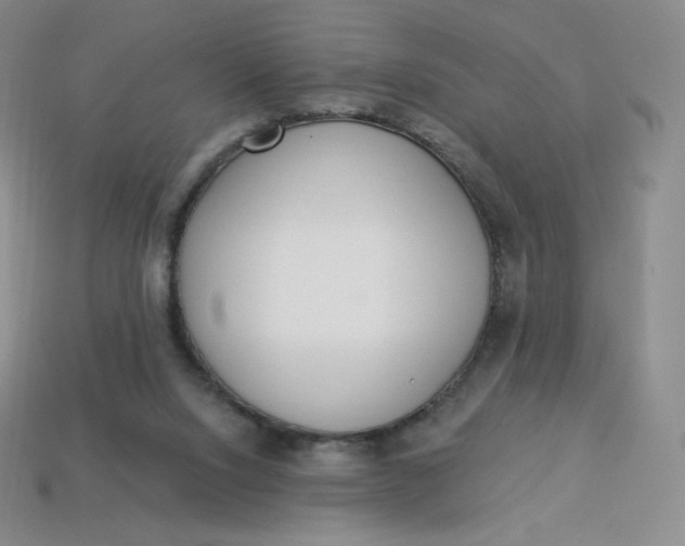 X0000114030064200910161829