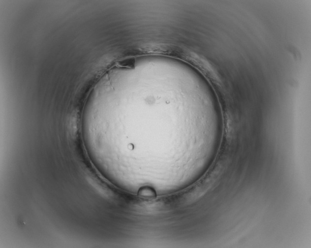 X0000114030065200910161829