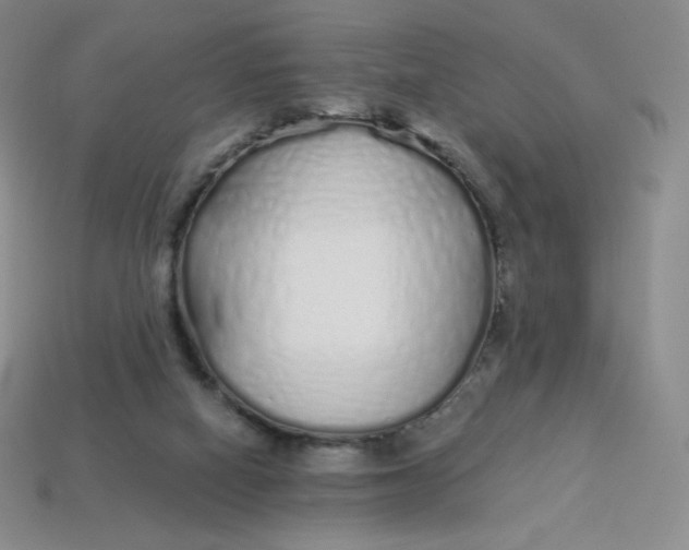 X0000114030066200910161829