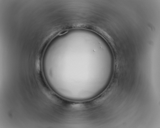 X0000114030067200910161829