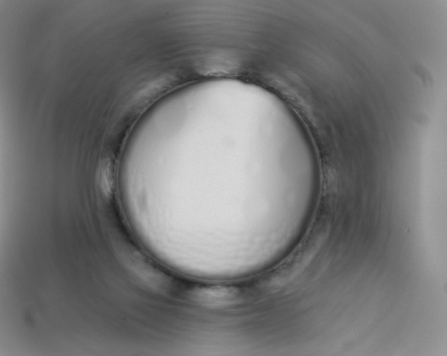 X0000114030069200910161829