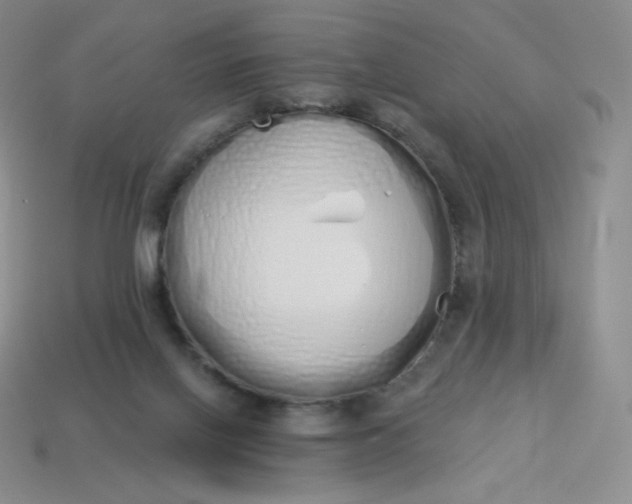 X0000114030070200910161829