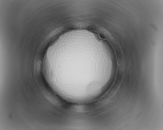 X0000114030071200910161829