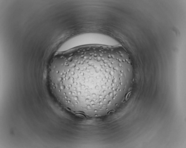 X0000114030072200910161829