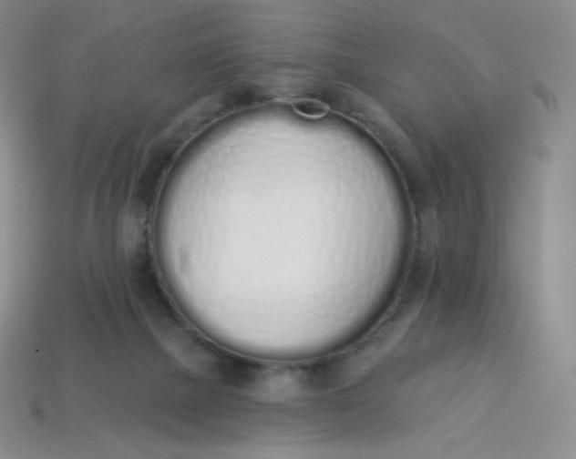 X0000114030073200910161829