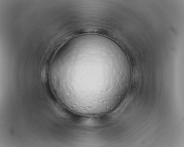 X0000114030074200910161829