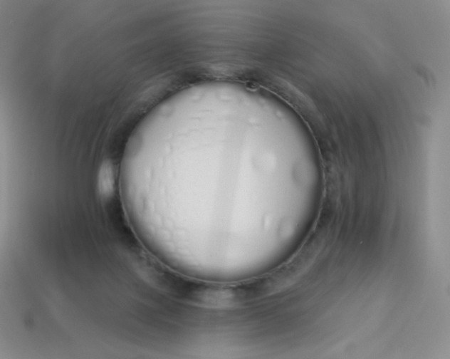 X0000114030075200910161829