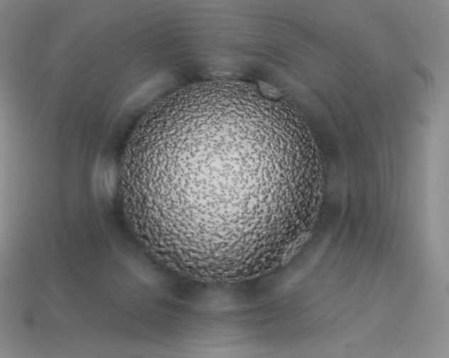 X0000114030076200910161829