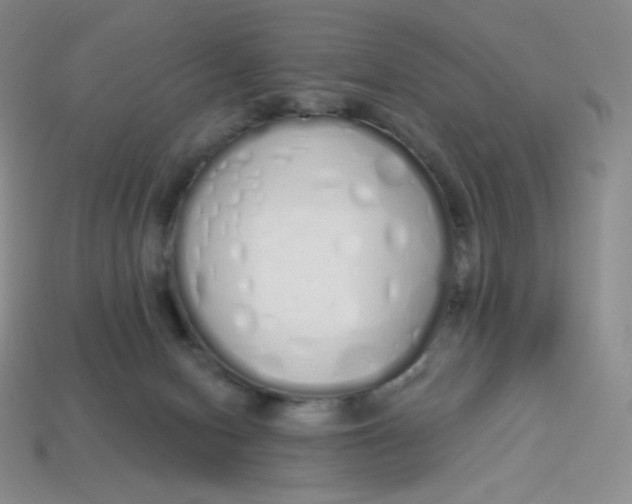 X0000114030078200910161829