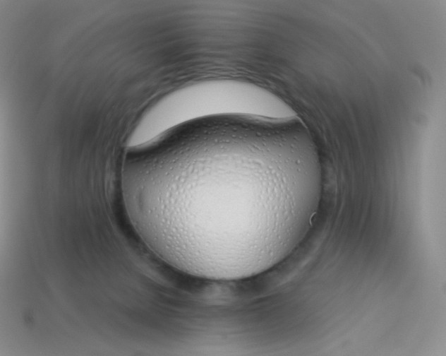 X0000114030080200910161829