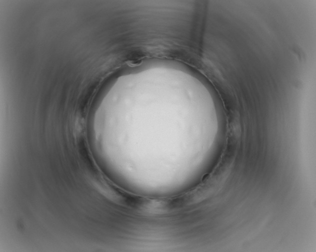 X0000114030081200910161829