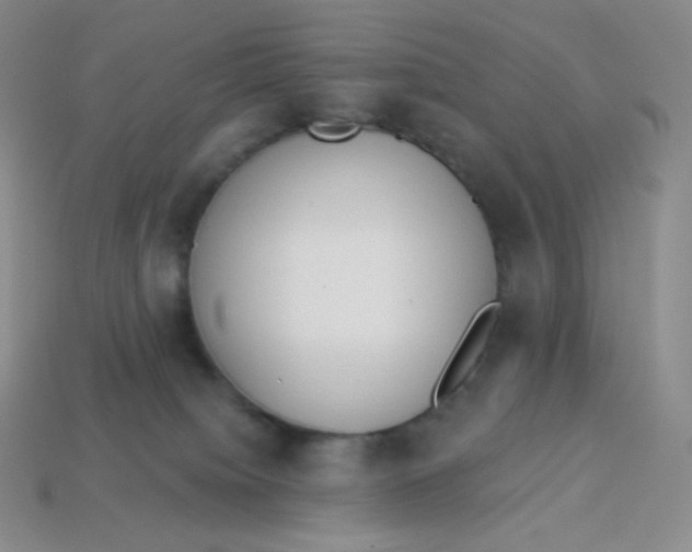 X0000114030084200910161829