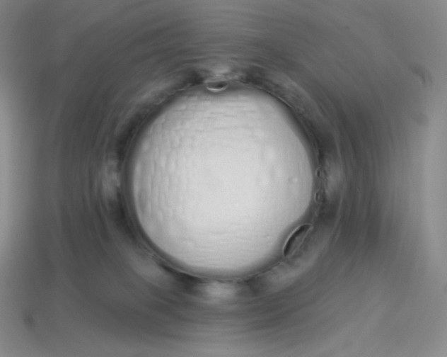 X0000114030085200910161829