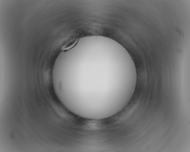 X0000114030088200910161829