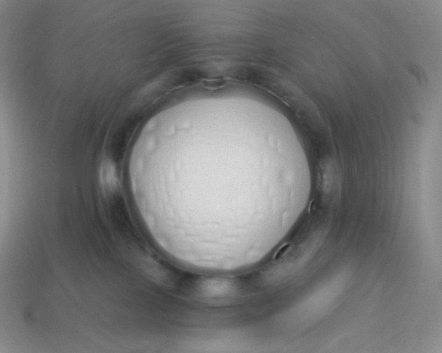 X0000114030089200910161829