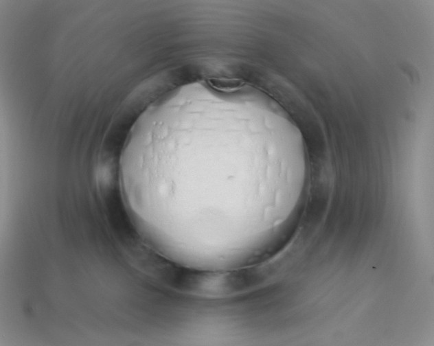 X0000114030090200910161829