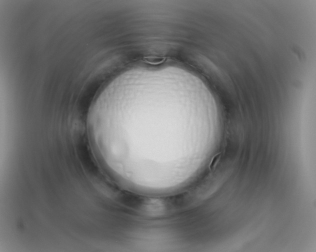 X0000114030091200910161829