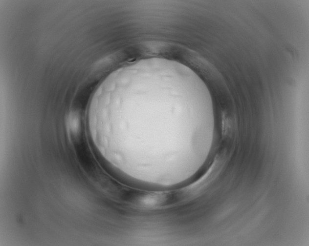 X0000114030094200910161829