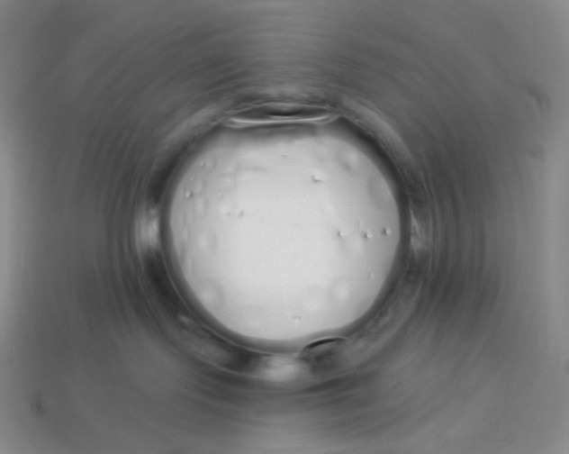 X0000114030095200910161829