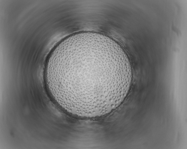 X0000114030098200910161829