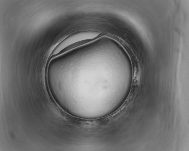 X0000114030099200910161829